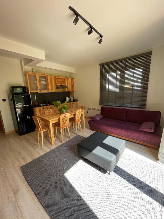Apartament Zakopane Willa Hrube Parter Z Tarasem I Kominkiem Eksteriør bilde