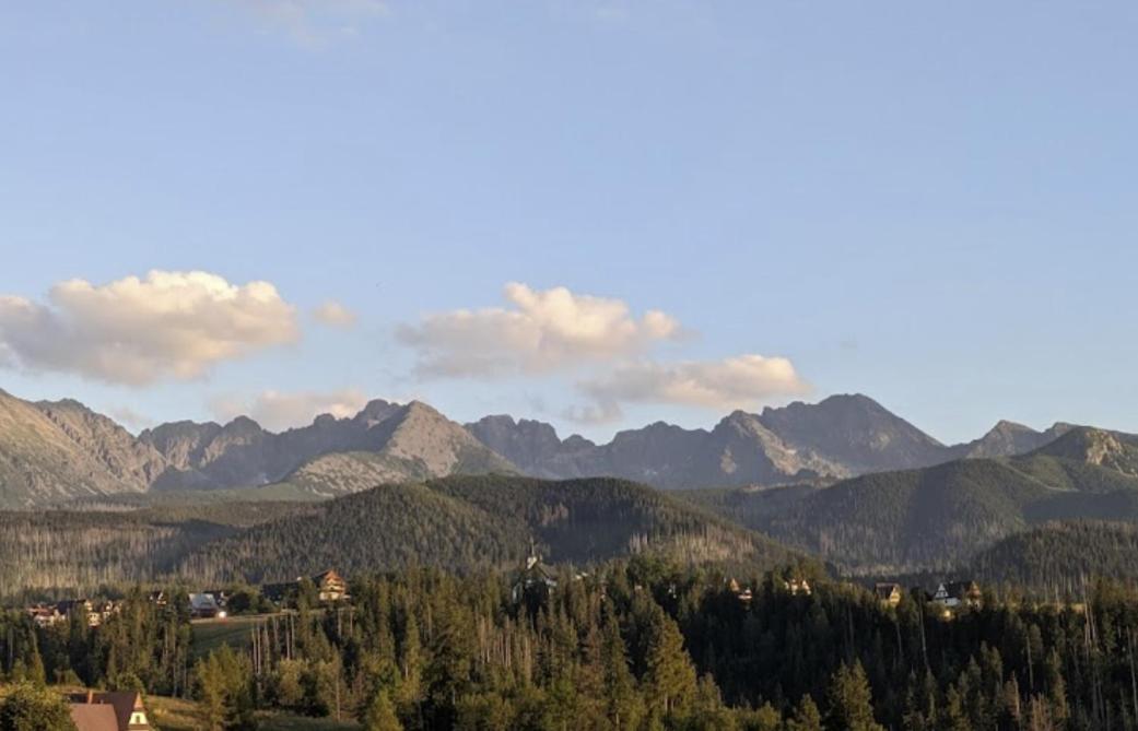 Apartament Zakopane Willa Hrube Parter Z Tarasem I Kominkiem Eksteriør bilde